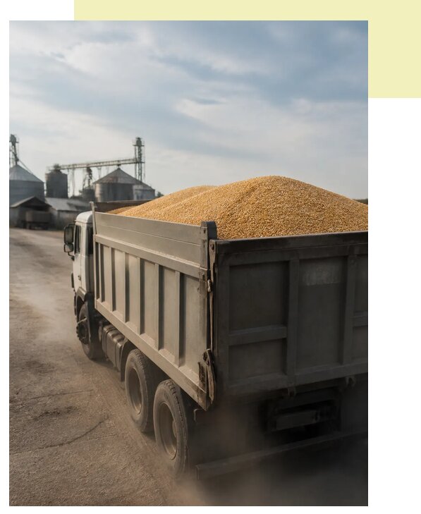 Перевозка сельхозпродукции навалом в Черногорск по цене от 3062 р. | Агросервис-Чрн