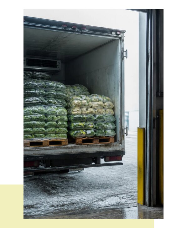 Перевозка замороженных овощей в Черногорск автотранспортом